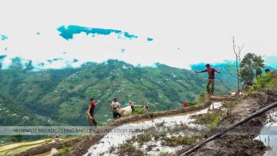 सुन्दरादेवी सिमालगैरीमा धान दिवस मनाइयो (रिपोर्ट)